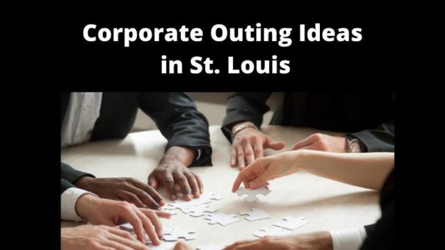 Featured image for Corporate Outing Ideas St. Louis